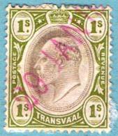 1902-03 - Transwall -  Edoardo VII  N° 155 - Transvaal (1870-1909)