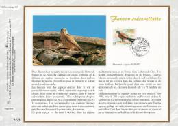 " FAUCON CRECERELLETTE " Sur Feuillet CEF 1° Jour N°té De 2000 N° 1522 . N° YT 3361. Parfait état. - Águilas & Aves De Presa