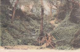 Old Postcard, Hastings, In Ecclesbourne Glen (pk9805) - Hastings