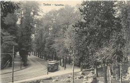 Mars13 463 : Torino  -  Valentino  -  Tramway - Transports