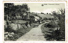 Postkaart / Carte Postale "Falaën - Promenade à Sosoye" - Onhaye