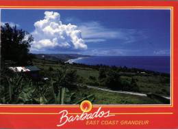 (654) Barbedos Island East Coast - Barbados