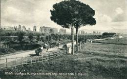 Roma - Via Appia Nuova Con Ruderi Degli Acquedotti Di Claudio - Tarjetas Panorámicas