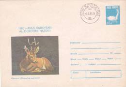ROOE DEER, 1980, COVER STATIONERY, ROMANIA - Game