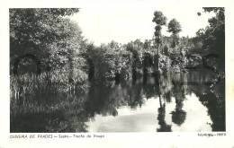 PORTUGAL - OLIVEIRA DE FRADES - SEJÃIS-TRECHO DO VOUGA - 50S REAL PHOTO PC. - Viseu