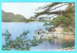 Postcard - North Korea     (V 17221) - Corea Del Nord