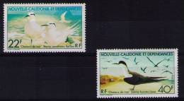 NEW CALEDONIA 1978 SEAGULLS  Birds MNH - Gabbiani