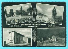 Postcard - Neustadt     (V 17322) - Neustadt (Weinstr.)