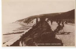 Real Photograph Of Western Parade Eastbourne, Sussex, Postcard - Eastbourne