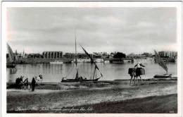 Afrique - Egypte - The Luxor Temple Seen From The Nile - Carte Glacée - Louxor