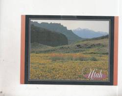 BT4405 Fremony River Valley Utah    2 Scans - Altri & Non Classificati