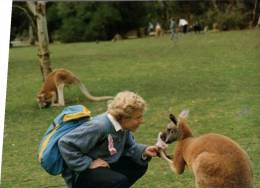 (234) Australia - Feeding Kangaroo (but Posted From Austria !) - Outback