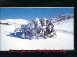 (234) Australia - High Country In Snow - Outback