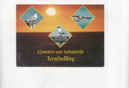 BT4739 Terschelling  Birds Oiseaux   2 Scans - Terschelling