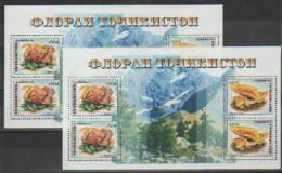 Tajikistan Mushrooms 2 Block Fo Four 1999 MNH ** - Tadschikistan