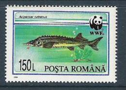 1994 ROUMANIE 4200** Esturgeon, Issu De Série - Unused Stamps