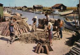 Bassin Ostréicole De MARENNES OLÉRON - Le Détrocage Des Huîtres Au Chenal D'Ors - Marennes