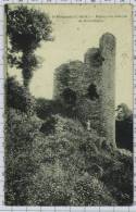 Les Ruines Du Chateau De Montafilant à Plancoet, Ref909 - Plancoët