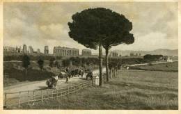 Roma - Via Appia - Panoramic Views