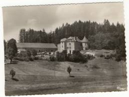 ST CHELY D'APCHER. - Château De Billières Et Ses Bois. CPM Dentelée - Saint Chely D'Apcher