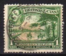 BRITISH GUIANA - 1938/45 YT 162 USED - British Guiana (...-1966)