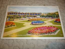 SUNKEN Gardens Skegness - Other & Unclassified