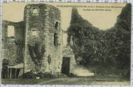 Ruines D´un Monastere à Champtoceaux, Ref955 - Champtoceaux