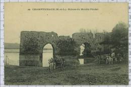 Ruines Du Moulin Féodal à Champtoceaux, Ref983 - Champtoceaux