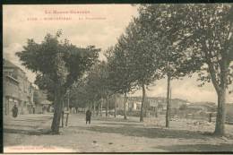 La Promenade - Montréjeau