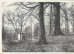 BELGIQUE - BELGIE - HAINAUT - MORLANWELZ - Château De MARLEMONT - H^tres Séculaire Et Mausolée Famille Waroqué - Morlanwelz