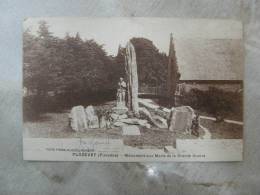 29 PLOZEVET Monument Aux Morts De La Grande Guerre  D102533 - Plozevet