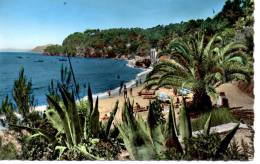 CP - PHOTO - LE RAYOL - LA PLAGE - BX 68 - NOVARINO - MAR - Rayol-Canadel-sur-Mer