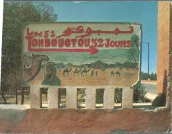 (345) Africa - Zagora To Tombouctou - 52 Days By Camel - Morocco To Mali - Isole Salomon