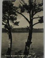 ROMA - Veduta Di Castel Gandolfo E Lago - 1951 - Mehransichten, Panoramakarten