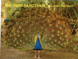 (819) Australia - QLD - Gold Coast Currumbin Birds Sanctuary - Peacock - Gold Coast