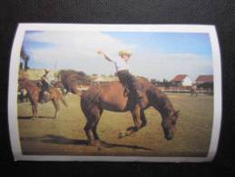 Delcampe - CHROMO Chocolat JACQUES (M33) SPORTS INSOLITES (2 Vues) N°117 Rodéo-Canadien - Jacques