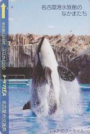 Carte Prépayée Japon - ANIMAL - BALEINE ORQUE - ORCA WHALE Japan Prepaid Card - WAL Bus Karte - 239 - Dolfijnen