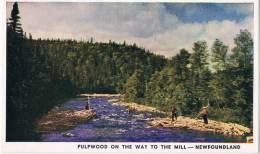 Newfoundland  Pulpwood On The Way To The Mill - Otros & Sin Clasificación