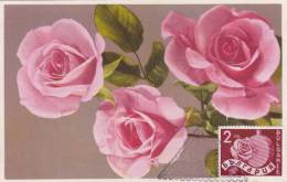 Carte Maximum BULGARIE  N° Yvert  310 (ROSE) Obl  Sp Ill 1948 - Storia Postale