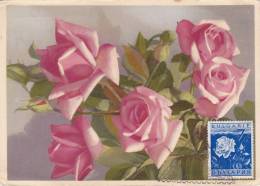 Carte Maximum BULGARIE  N° Yvert  315 (ROSE) Obl  Sp Ill 1948 - Brieven En Documenten