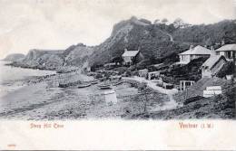 VENTNOR, Steep Hill Cove, Isle Of Wight, Sehr Schöne Karte 1900?, Stengel & Co London, Gute Erhaltung - Ventnor