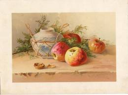 IMAGES Litografia FRUITS VASE APPLES AND WALNUTS ,DIMEN.25,8 X 18,8 Cm,CATHARINE KLEIN SERIE 143. GRAND PRIX PARIS 1900 - Bloemen