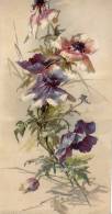 IMAGES Litografia BLUMEN ,DIMEN.15,8 X 32,8 Cm,CATHARINE KLEIN ANEMONE WEZEL%NAUMANN A-G.LEIPZIG - Flowers