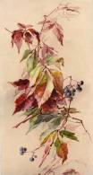 IMAGES Litografia BLUMEN FRUIT,DIMEN.15, X 32,8 Cm,CATHARINE KLEIN SERIE 158.No.11,WILDER WEIN.WEZEL&NAUMANN A-G.LEIPZIG - Flowers