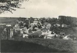 Dochamps : Panorama Du Village Pris De Biertoumont     ( Grand Format ) - Autres & Non Classés