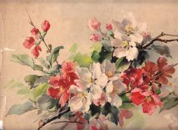 IMAGES Litografia BLUMEN  DIMEN.30 X 51 Cm,CATHARINE KLEIN - Flowers