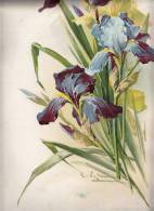 IMAGES Litografia BLUMEN  DIMEN.29,8  X 44,8 Cm,CATHARINE KLEIN - Fleurs