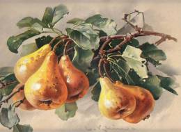 IMAGES Litografia FRUIT  PEAR DIMEN.43,8  X 30,0 Cm,CATHARINE KLEIN SERIE 1068 - Fiori