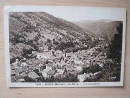 Blesle - Vue Panoramique - Blesle