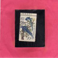 USA - STATI UNITI 1967 AIRMAIL COLUMBIA JAYS BIRDS Uccelli Vogels Oiseaux Birds Aves John J. Audubon1785-1851 USED - 3a. 1961-… Oblitérés